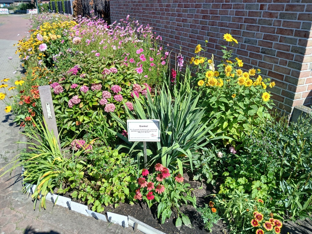 Blumenbeet