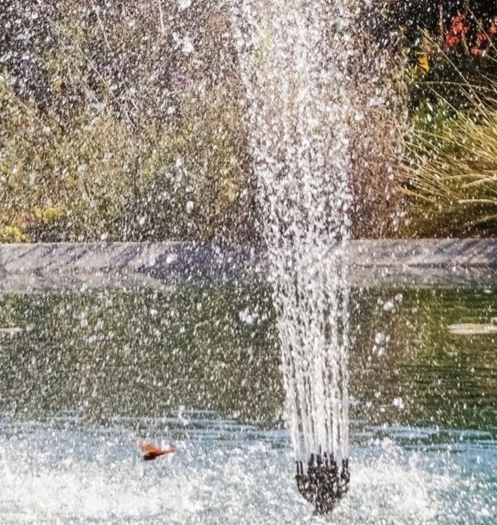 Springbrunnen